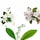 Insta-Wow - Shampooing sec avancé 
