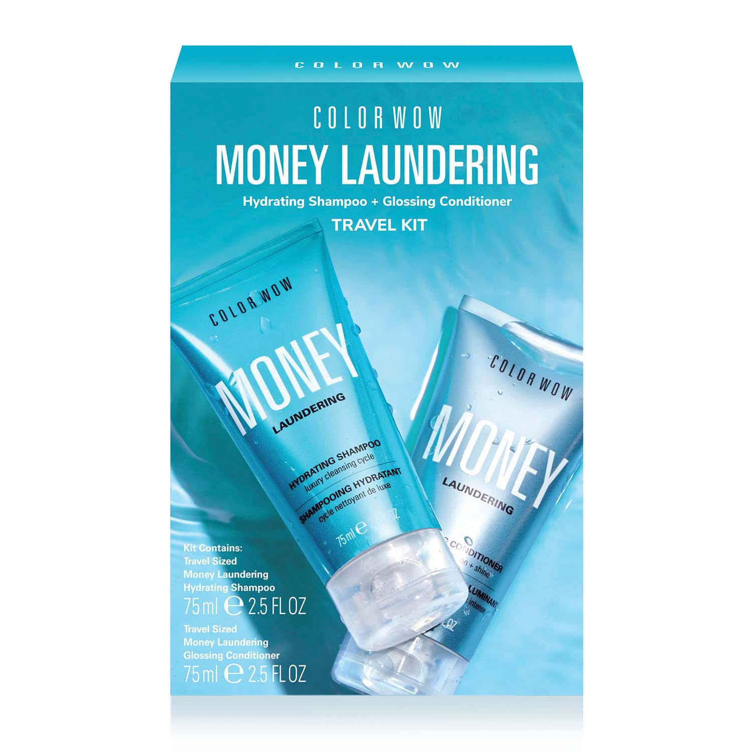 Money Laundering Travel
