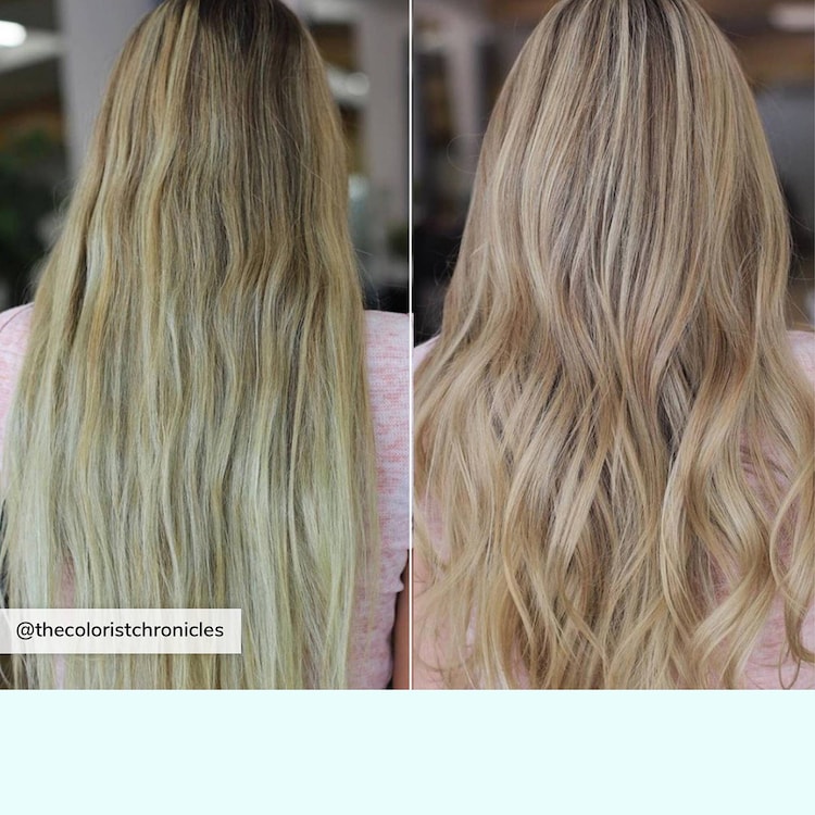 Dream Filter - Pre-Shampoo
