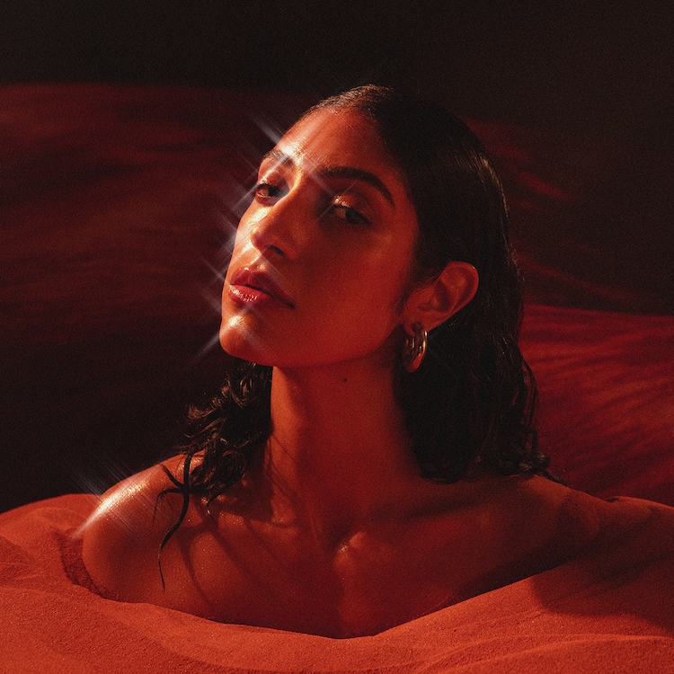 Spice Bold - Fragrance