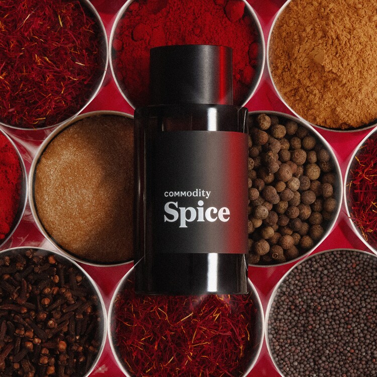 Spice Expressive - Fragrance