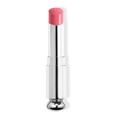 Recarga Batom Dior Addict, Dior