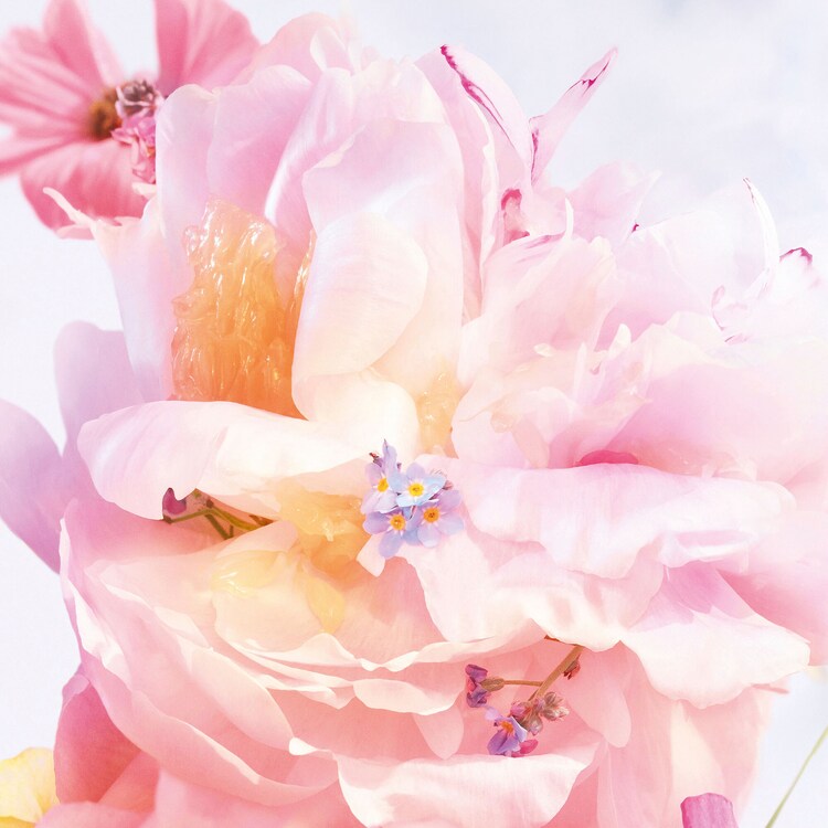 Miss Dior Blooming Bouquet Mini Miss - Perfume en barra sin alcohol