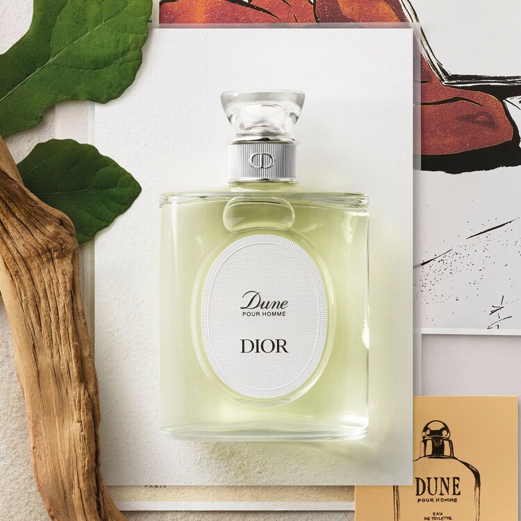 Dune pour Homme - Eau de toilette, notes boisées et vertes