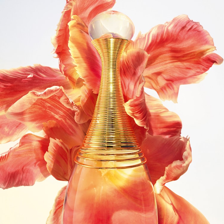 J'adore Eau de parfum infinissime
