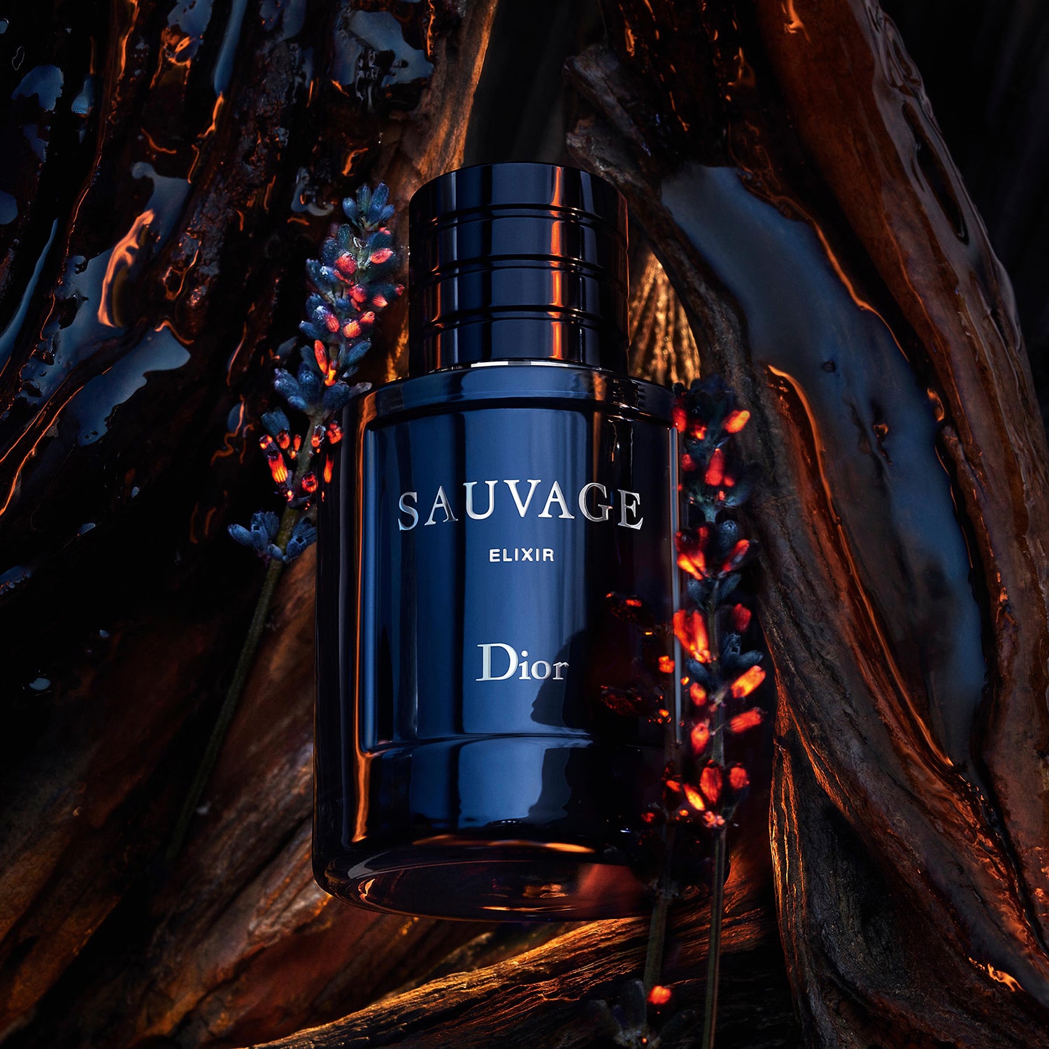 DIOR Sauvage Elixir Parfum Pour Homme | DIOR Parfum Barbati ≡ SEPHORA