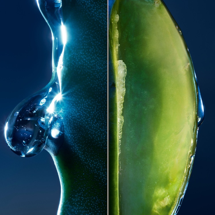 Sauvage Sérum facial - con el poder del cactus