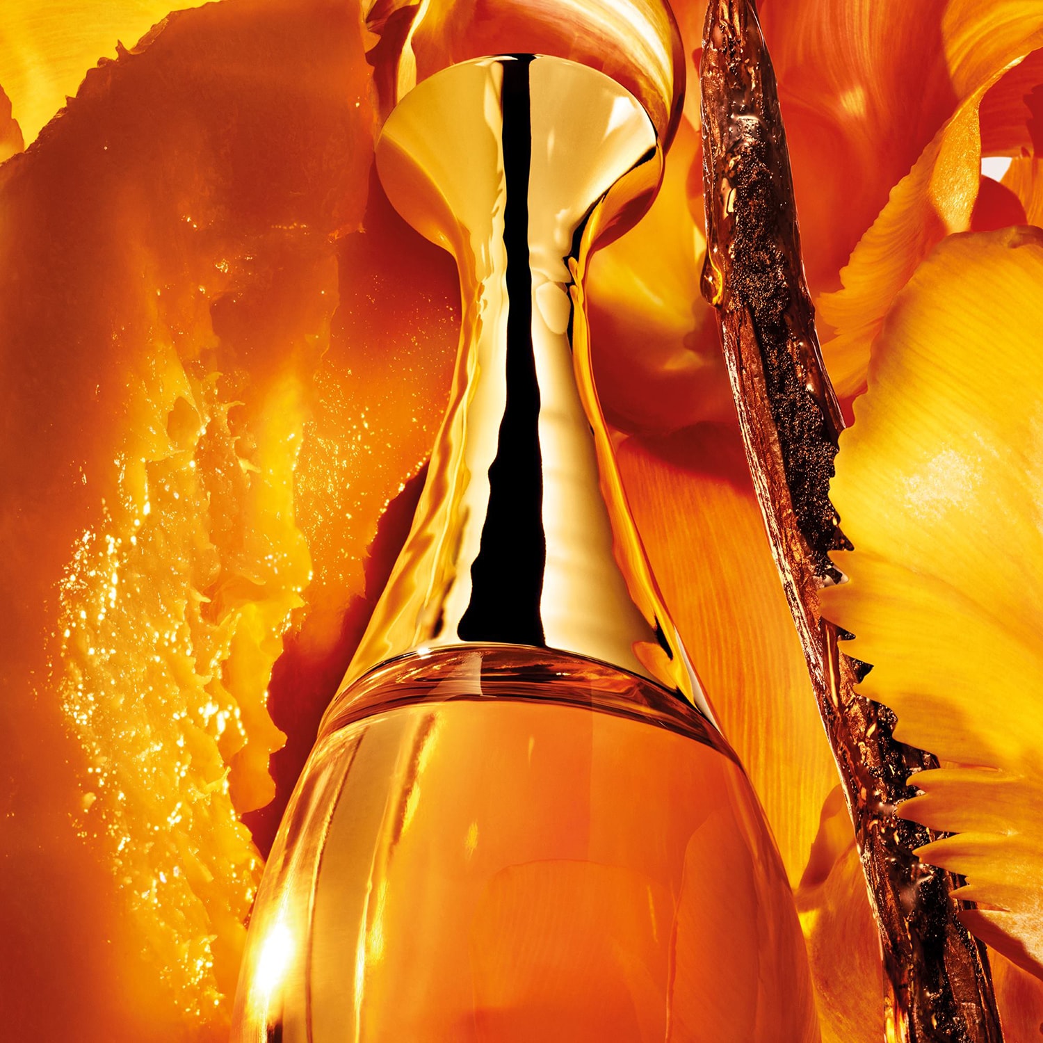 J'adore l'Or - Parfum cu note florale | DIOR ≡ SEPHORA