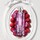 Duo Dior Addict Purple - Eau de parfum et huile à lèvres hydratante