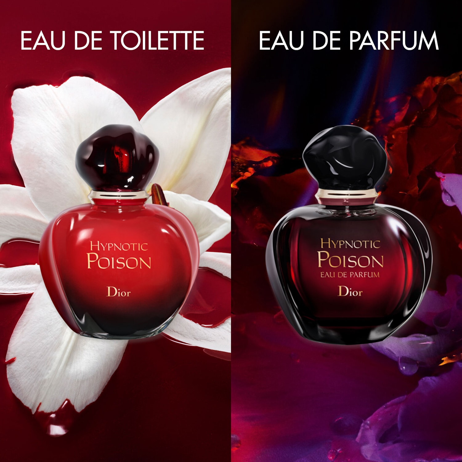 Dior Hypnotic Poison Eau de Toilette　4点 Hypnotic Poison - Eau de toilette pour femme - Notes fleuries