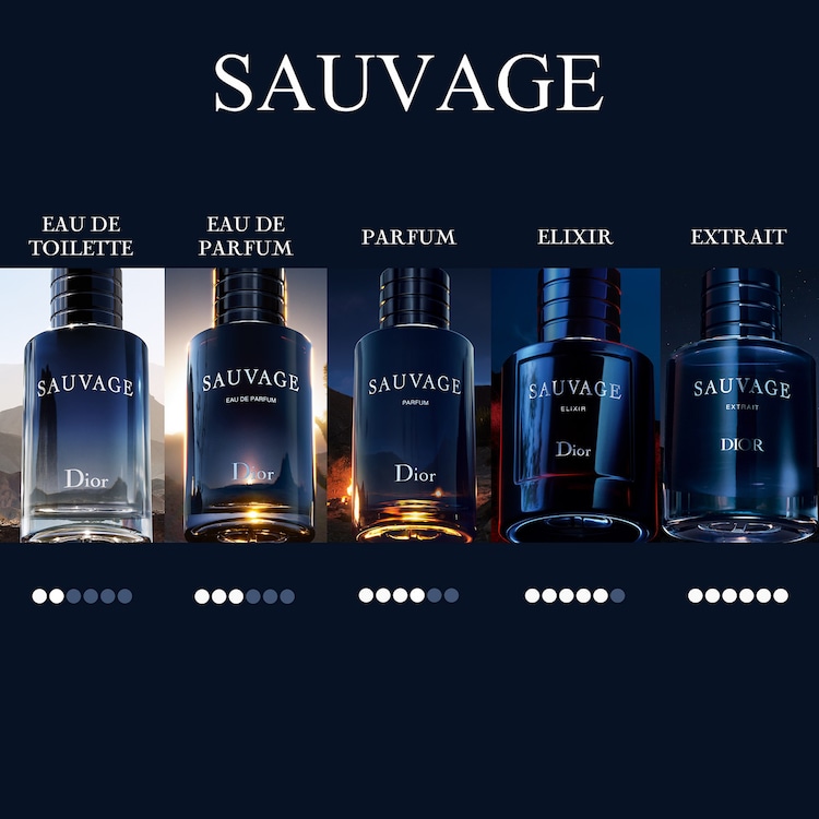 Sauvage - Eau de Parfum für Herren - Würzige Noten &Vanille-Absolue-Noten