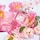 Miss Dior Rose N'Roses Eau de toilette för kvinnor - Blommiga och fräscha noter