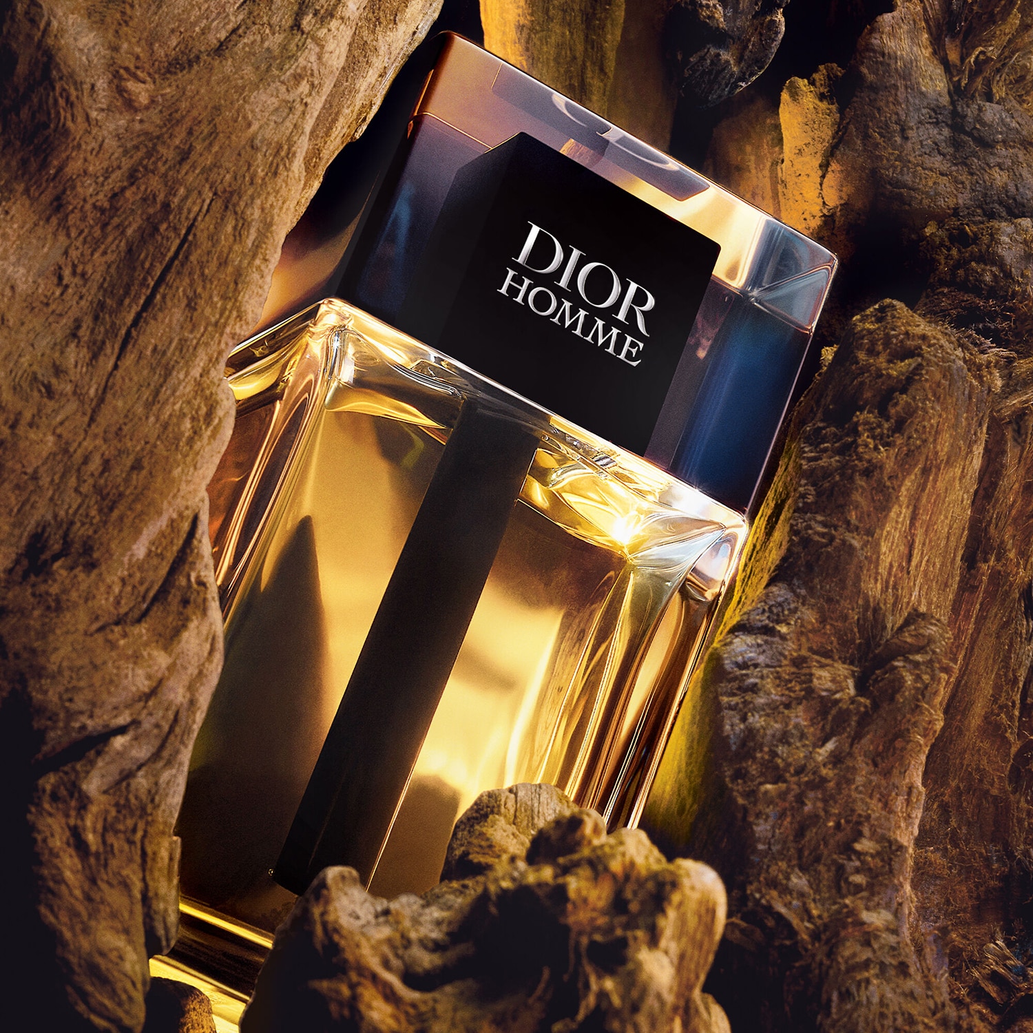 Dior Homme - Eau de Toilette for Men | DIOR ≡ SEPHORA