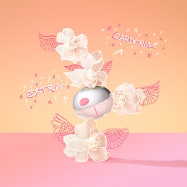 The product image is missing!