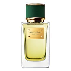 Velvet Vetiver - Eau De Parfum, DOLCE & GABBANA