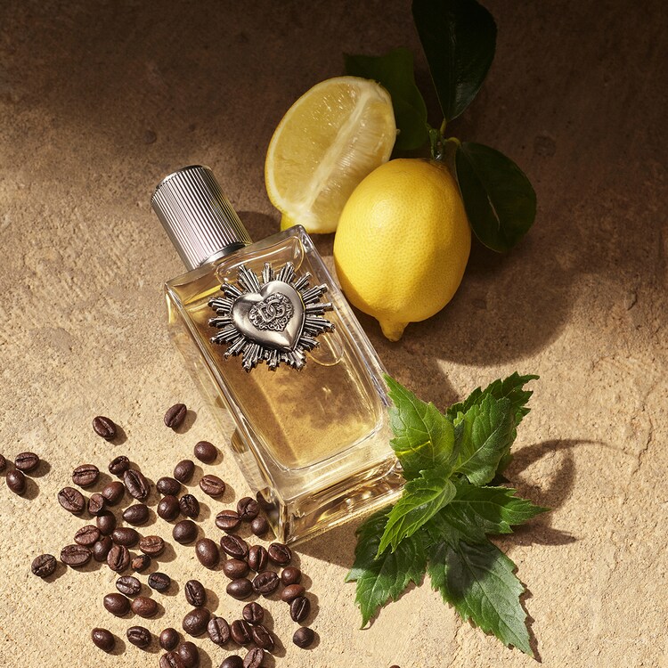 Devotion Pour Homme - Eau de Parfum