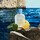 Light Blue pour Homme - Eau de Toilette