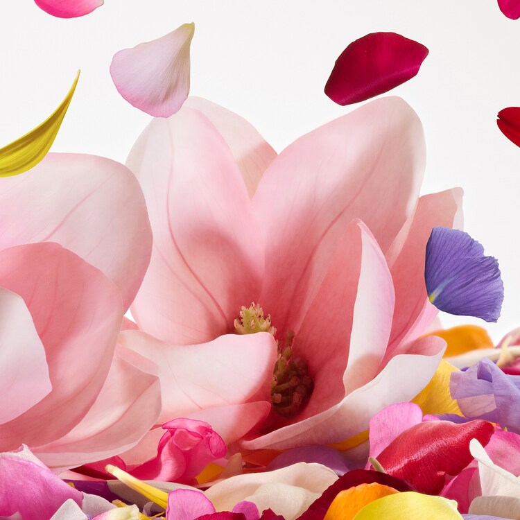 Dolce Magnolia - Parfémová voda