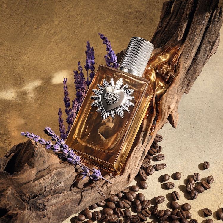 Devotion For Men - Parfum