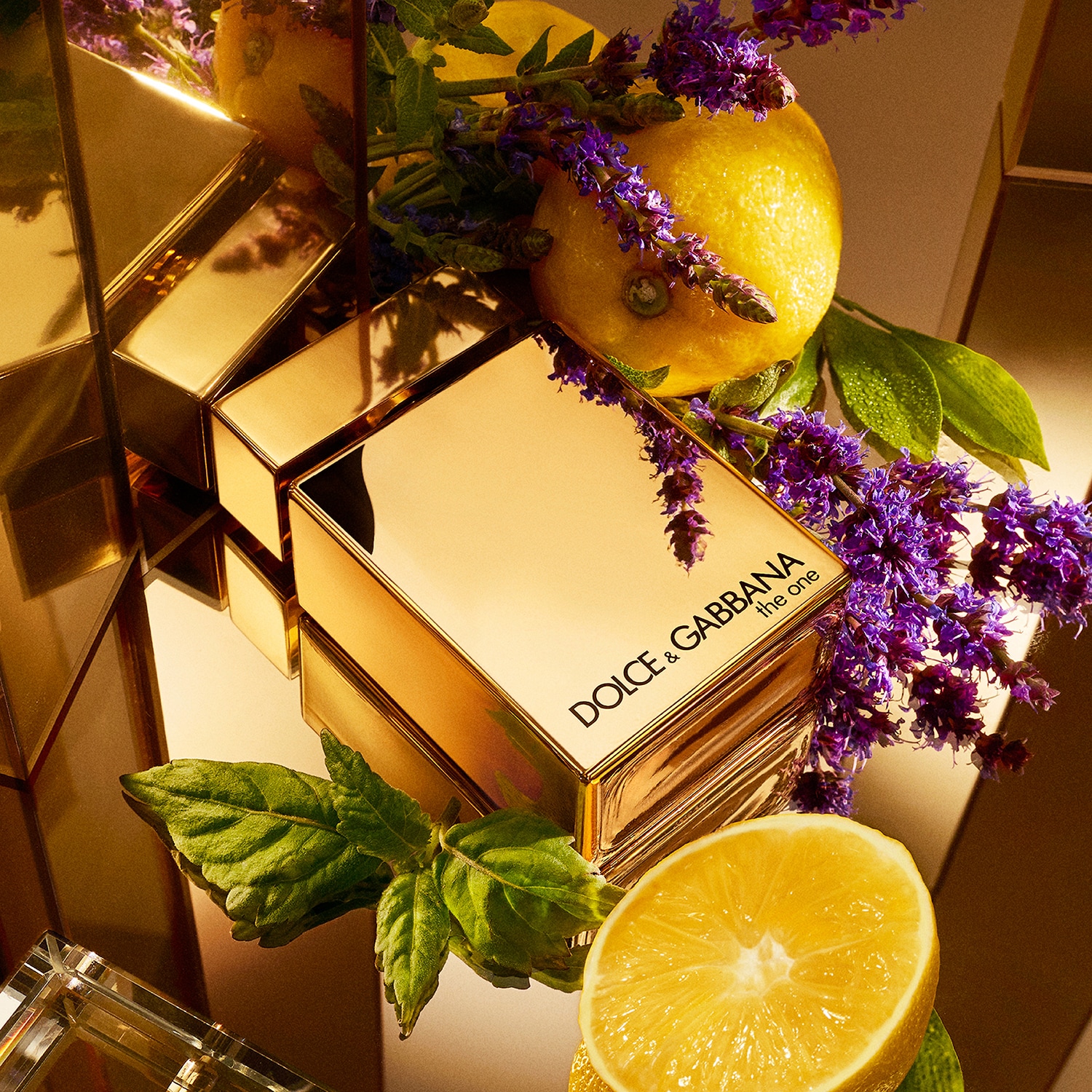 The One for Men Gold - Eau de Parfum | DOLCE & GABBANA ≡ SEPHORA