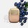 Blueberry Nutri-Tint - Tazelik ve parlaklık veren cilt tonu düzenleyici fondöten