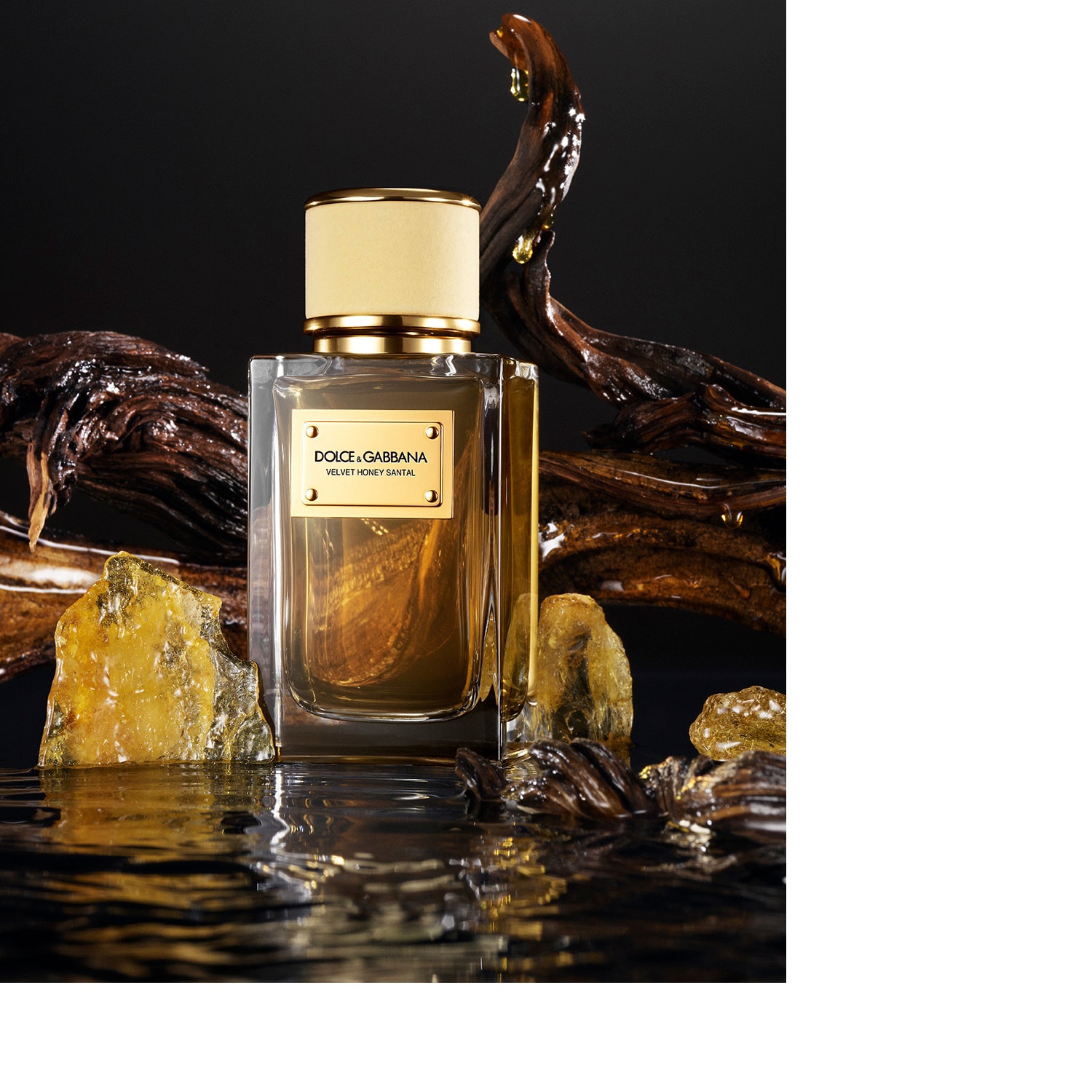 Velvet Honey Santal - Eau de Parfum | DOLCE & GABBANA ≡ SEPHORA