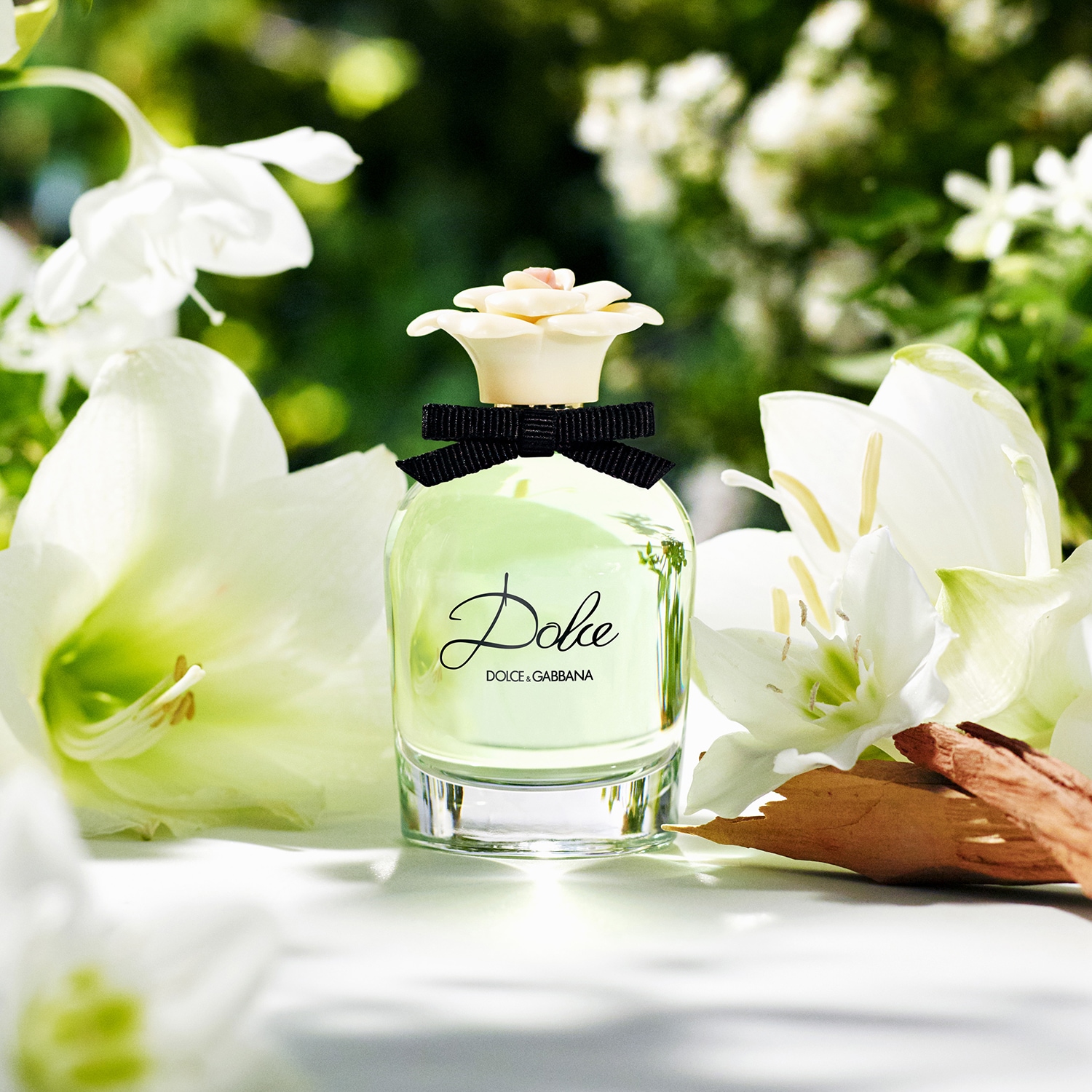 Dolce - Eau de Parfum | DOLCE & GABBANA ≡ SEPHORA