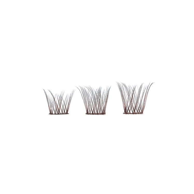 Lite - Extended Lashes