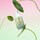 Centella Red Serum - Concentrat cu efect calmant instantaneu