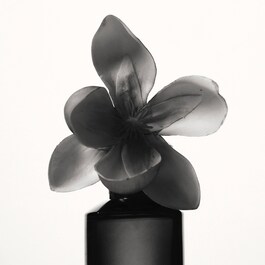 Eau de Parfum u spreju