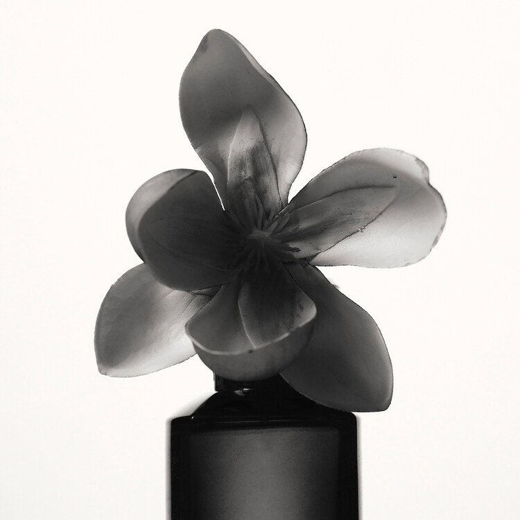 Fenty - Eau de Parfum