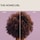 The Homecurl - Crema de definire a buclelor