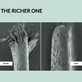 The Richer One - Intenzivni hidratantni regenerator za obnovu kose