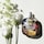 Wild Vanilla Orchid - Eau de Parfum