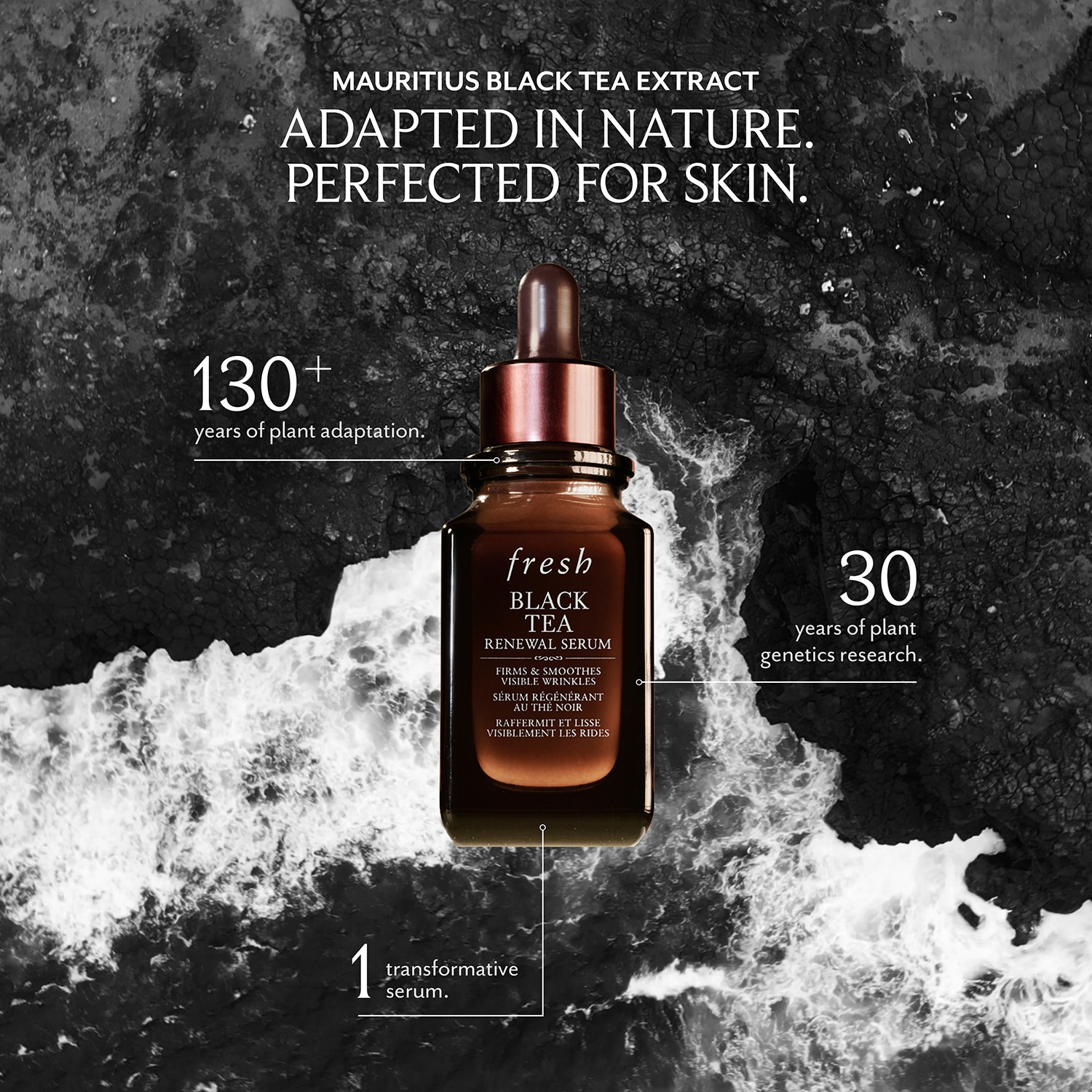 Black Tea Renewal Serum
