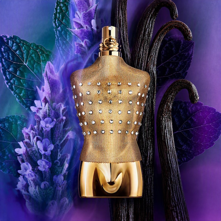 Le Male Collector - Eau de toilette