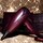 Cherry Chic helios® - Haartrockner