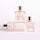 Irresistible Givenchy - Parfum pour cheveux