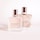 Irresistible Givenchy - Parfum pour cheveux