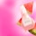 Watermelon Glow Dewy Skin Routine - Kit de viaje