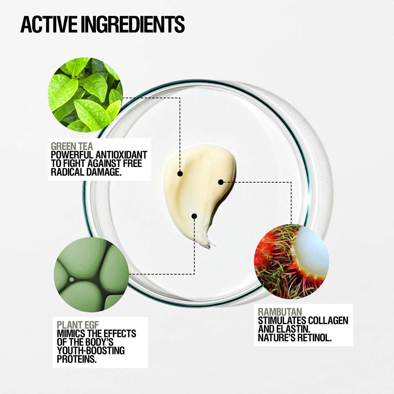 Regenerating Night Cream - Peptide, Rambutan + Plant-EGF