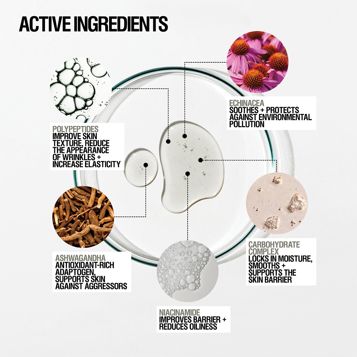 Skin Renewal Serum - Niacinamide, Ashwagandha + Polypeptide
