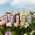 Flora Gorgeous Gardenia - Eau de Parfum Intense