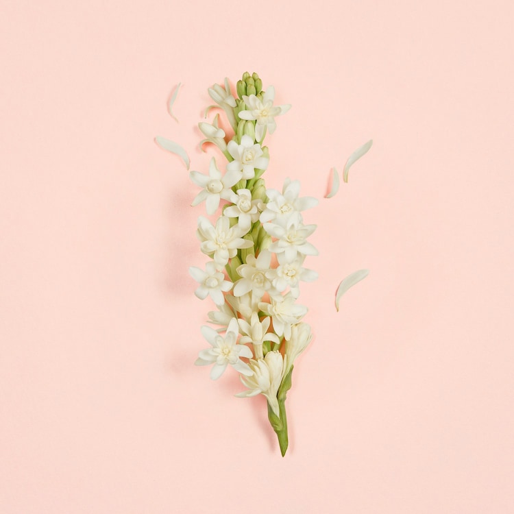 Bloom Ambrosia d'Oro - Eau de Parfum 