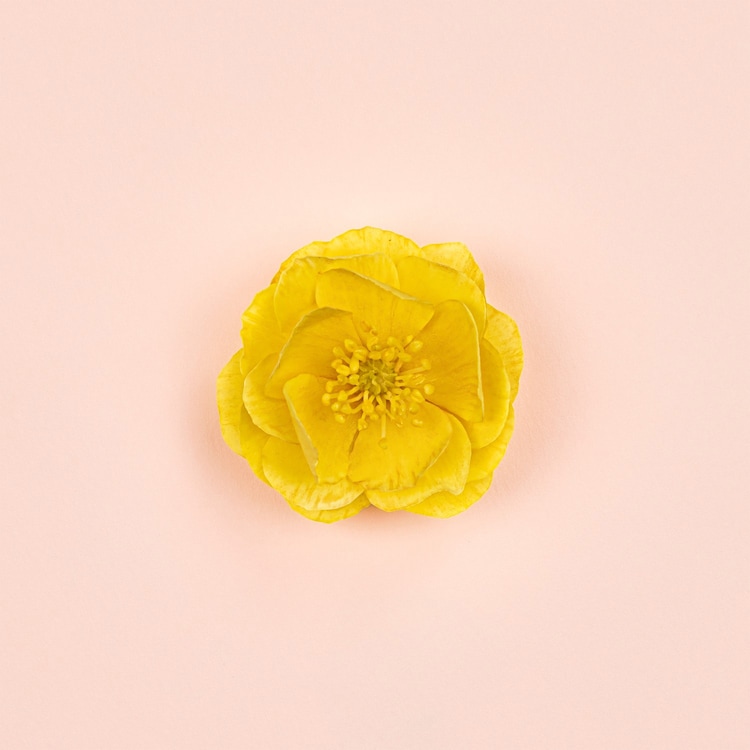 Bloom Ambrosia d'Oro - Eau de Parfum 