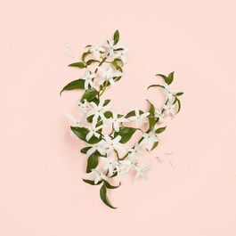 Bloom Ambrosia D'Oro EDP - Apa de parfum