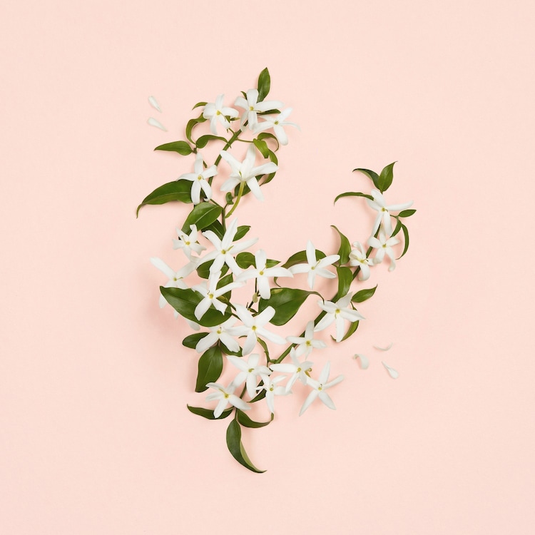 Bloom Ambrosia d'Oro - Eau de Parfum 