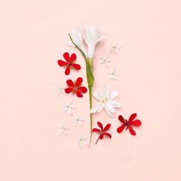 Bloom - Eau de Toilette Spray