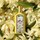 Gucci Flora Gorgeous Orchid - Eau de Parfum Donna