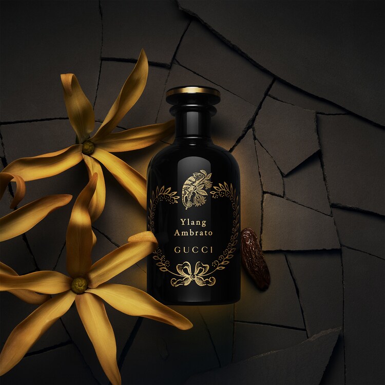 The Alchemist's Garden Ylang Ambrato - Eau de Parfum